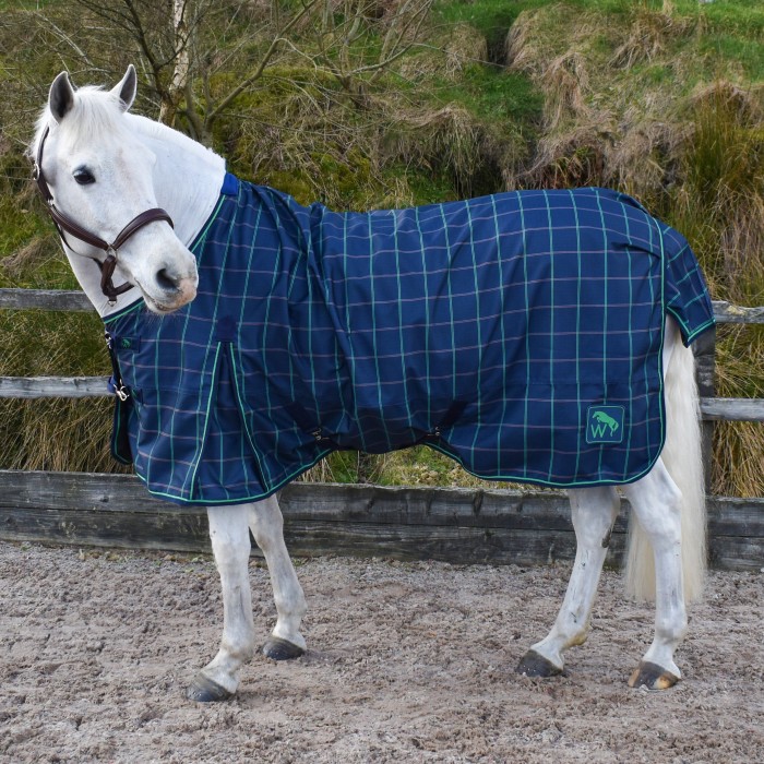 R420 Jacob Lightweight 0g Turnout Rug with Tail Cover